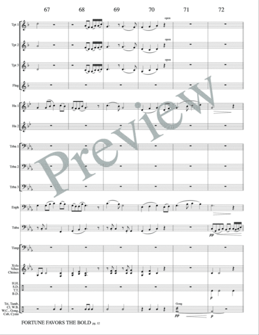 Fortune Favors the Bold - A Gladiator Story Small Ensemble scores gallery preview page 14