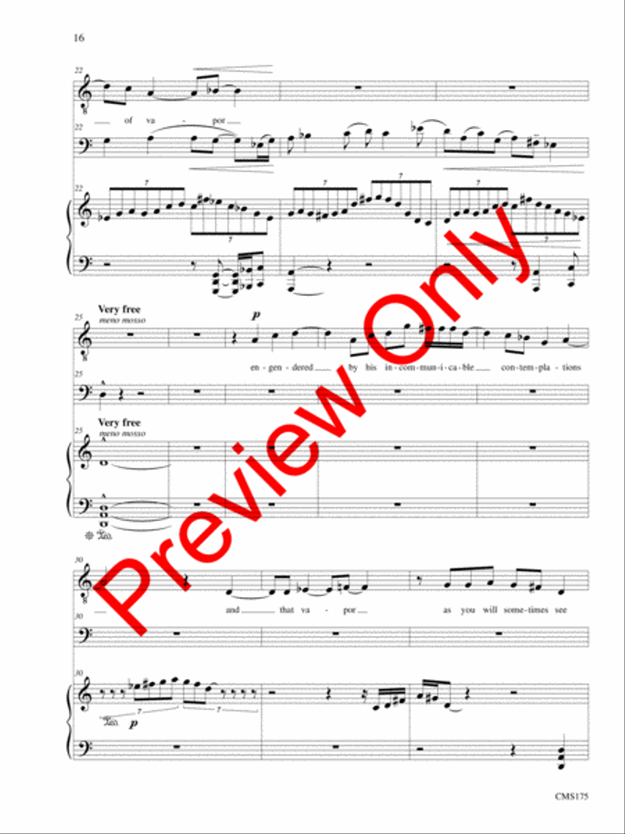 Songs of Solemn Confession: A Song Cycle Bassoon scores gallery preview page 17