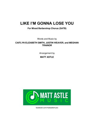 Book cover for Like I'm Gonna Lose You