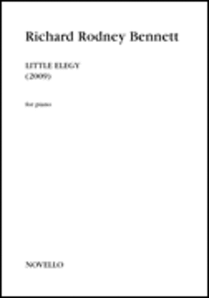 Book cover for Little Elegy