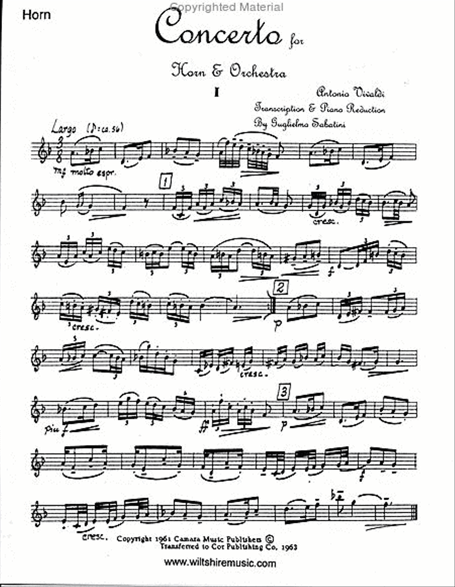 Concerto (Guglielmo Sabatini) String Orchestra scores gallery preview page 2
