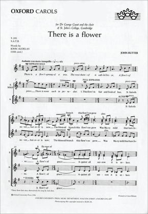 Book cover for There is a flower