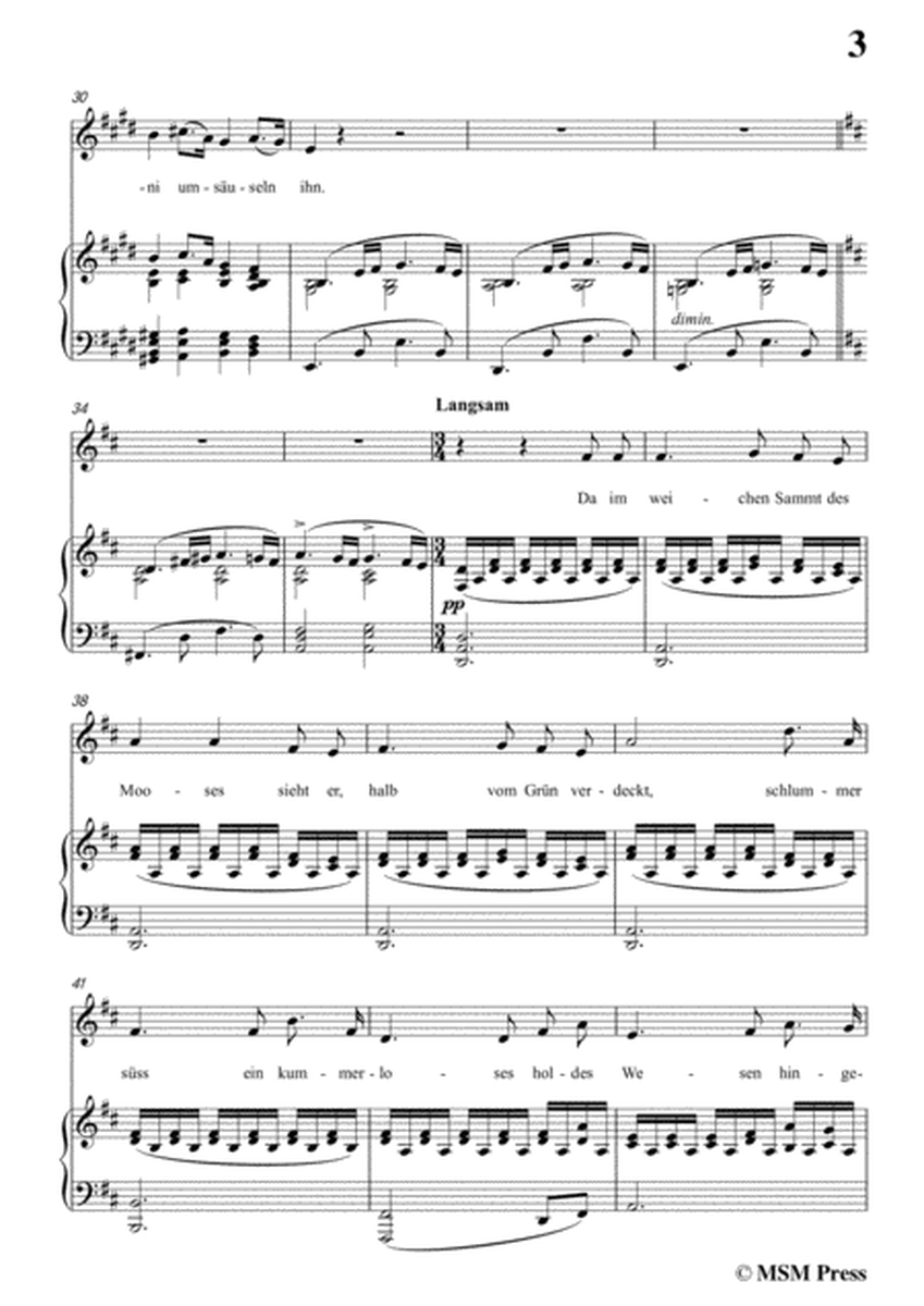 Schubert-Vergissmeinnicht in c sharp minor,for voice and piano image number null