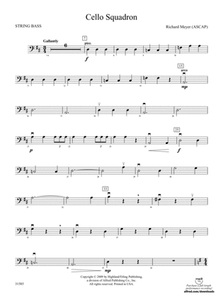 Cello Squadron: String Bass