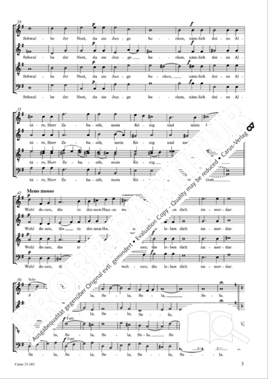 Der 84. Psalm SSAATTBB scores gallery preview page 4