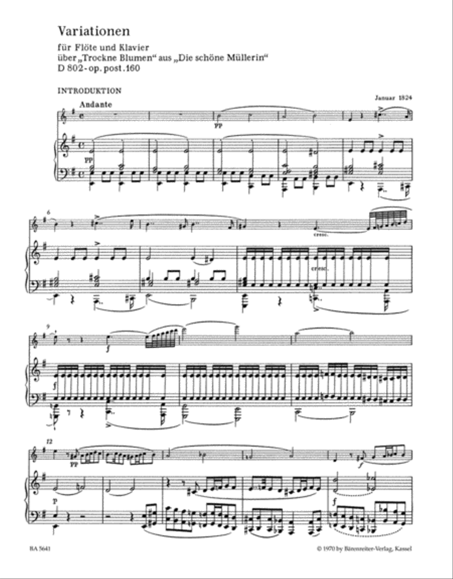 Variationen fur Flote und Klavier uber 