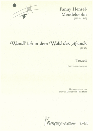 Book cover for Wand'l ich in dem Wald des Abends