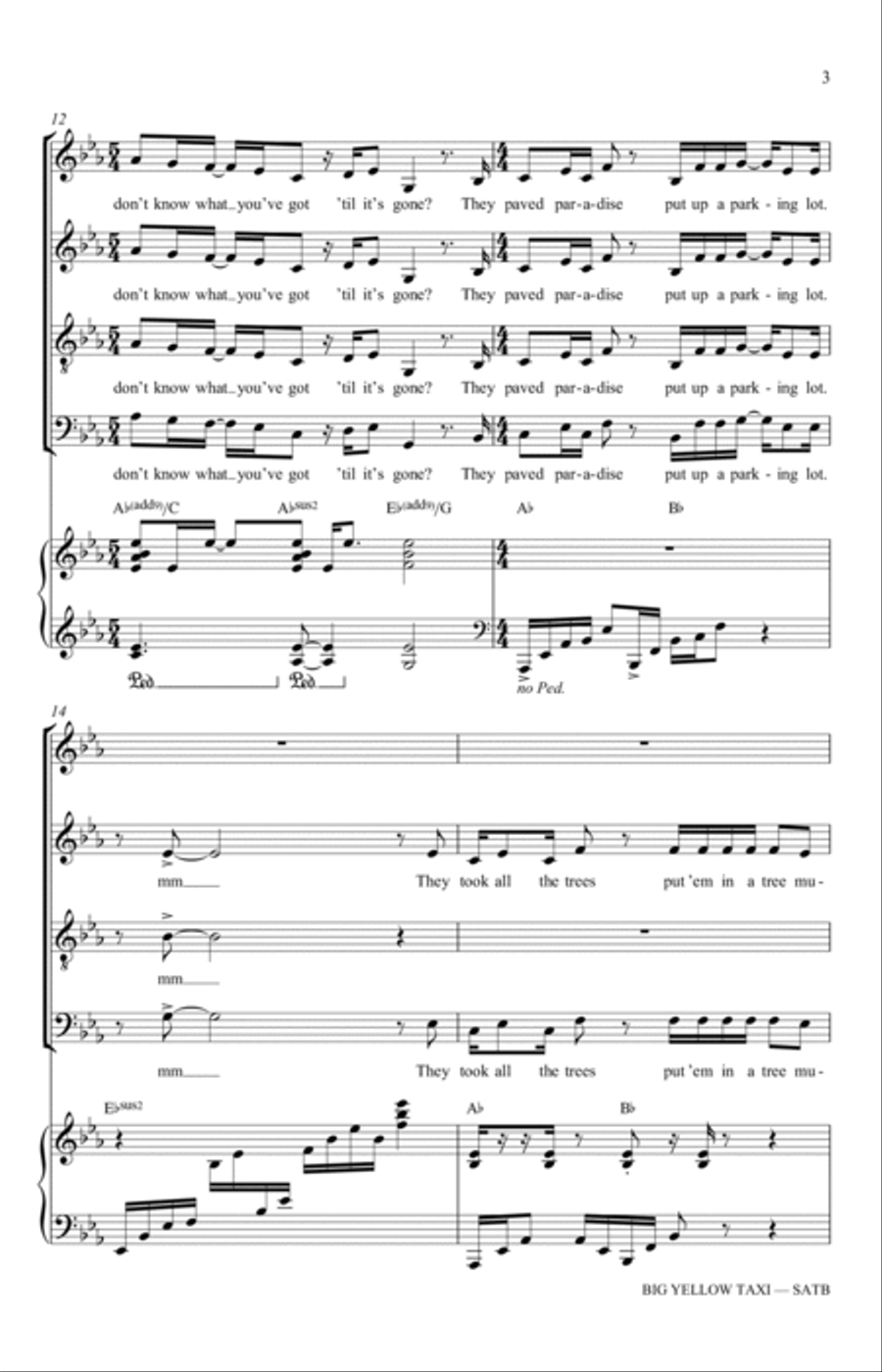 Big Yellow Taxi (arr. Adam and Matt Podd) 4-Part scores gallery preview page 3