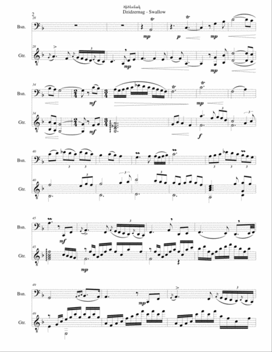 Swallow ԾԻԾԵՌՆԱԿ (Dzidzernag) arranged for bassoon and guitar Bassoon scores gallery preview page 2