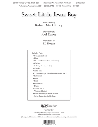 Book cover for Sweet Little Jesus Boy