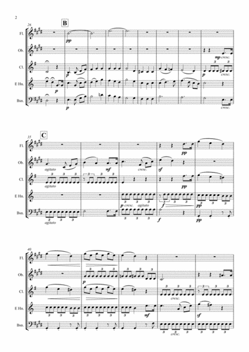 Mendelssohn: Incidental Music from A Midsummer Night's Dream Op.61 No.7 Notturno - wind quintet image number null