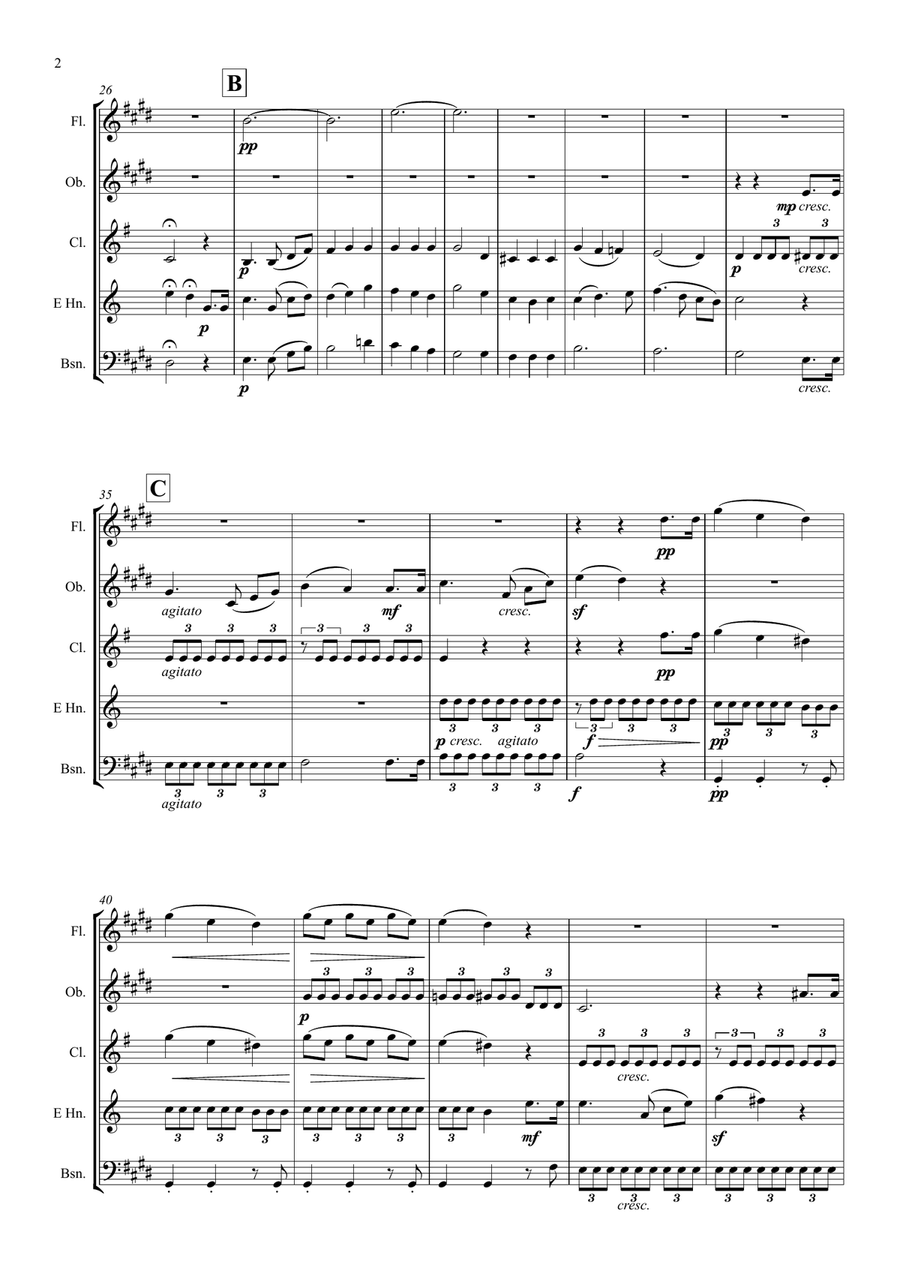 Mendelssohn: Incidental Music from A Midsummer Night's Dream Op.61 No.7 Notturno - wind quintet Woodwind Quintet scores gallery preview page 2