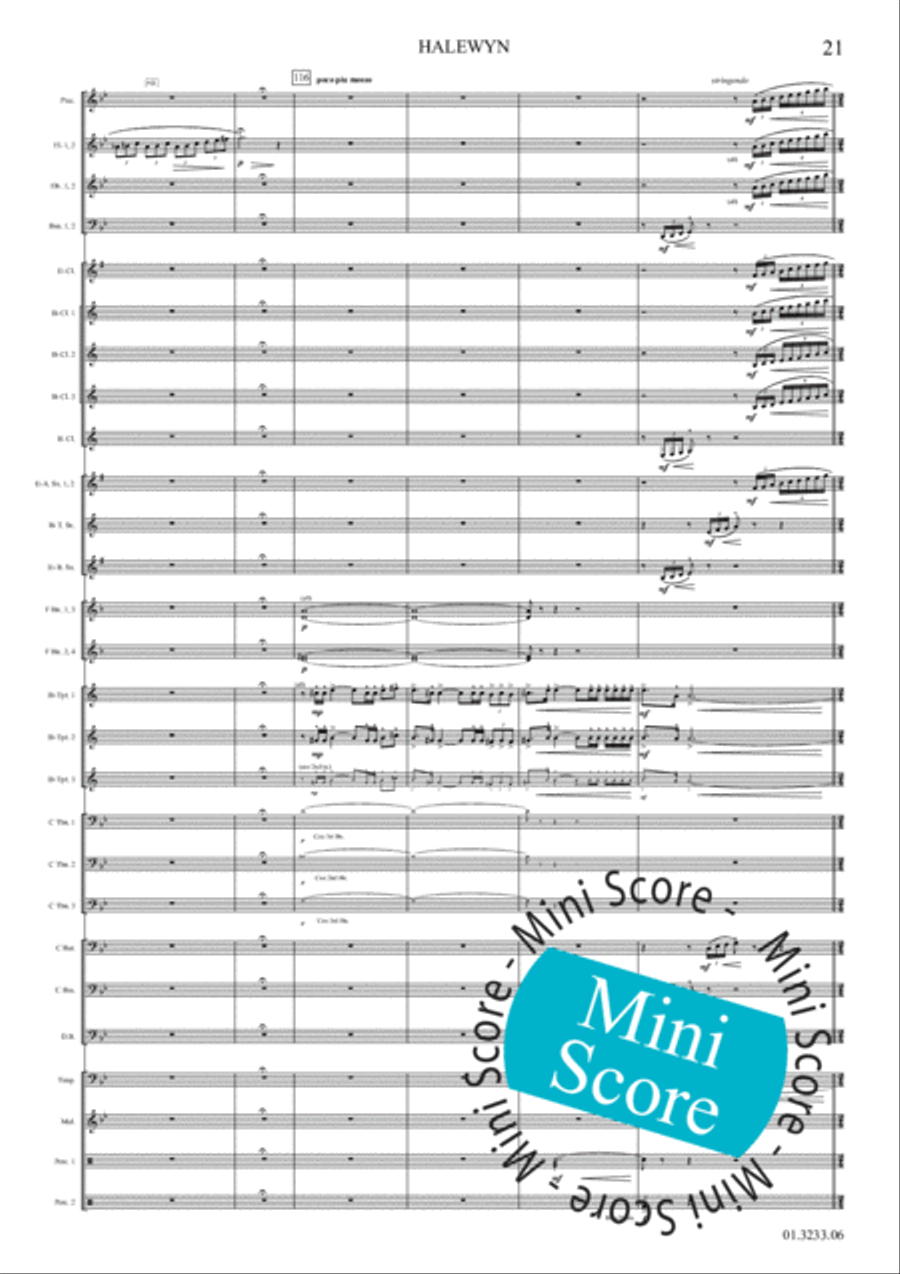 Halewijn Concert Band scores gallery preview page 27