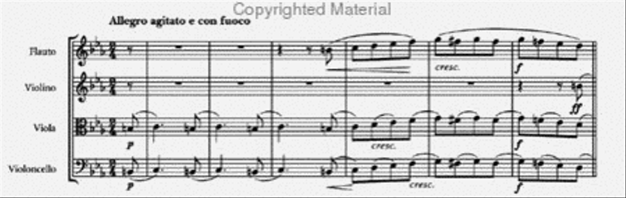 Quartet in C minor Quartet in C minor Flute scores gallery preview page 4
