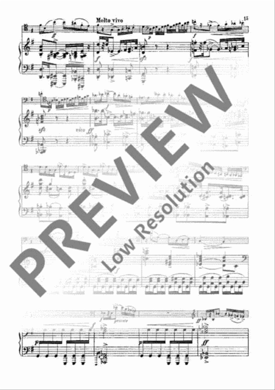 Sonata G Minor Piano Accompaniment scores gallery preview page 14