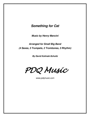 Book cover for Something For Cat