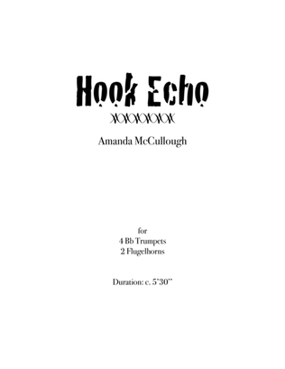 Hook Echo