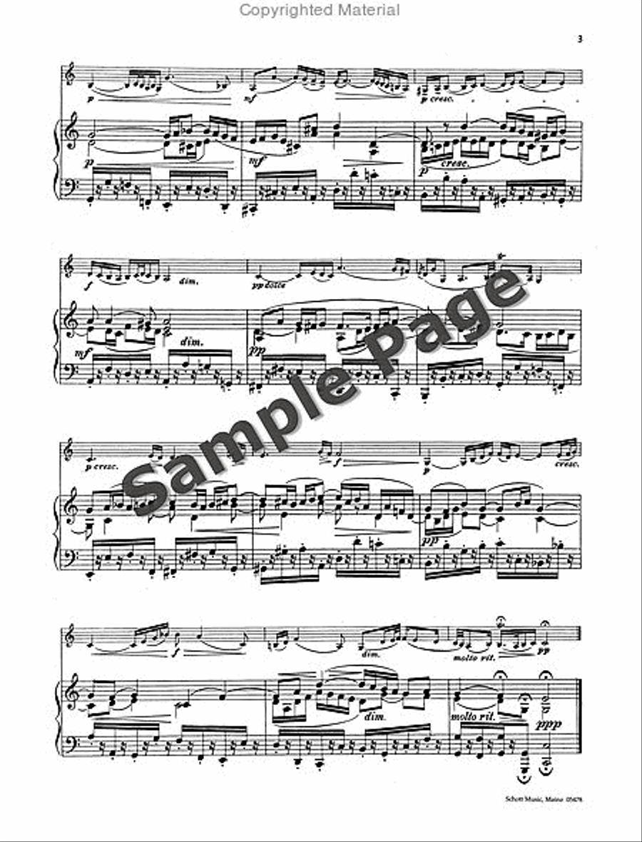 Air from the Orchestral Suite No. 3 in D, BWV 1068 Violin Solo scores gallery preview page 6