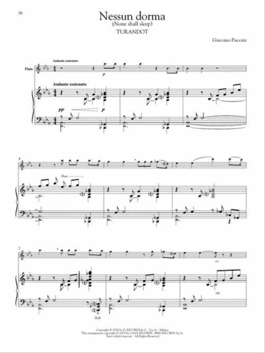 Play Puccini Flute Solo scores gallery preview page 7