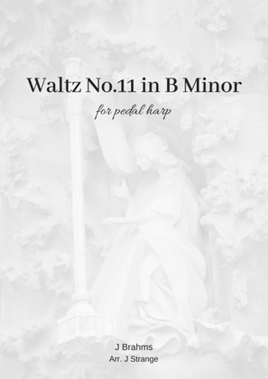 Brahms Waltz No.11 in B minor