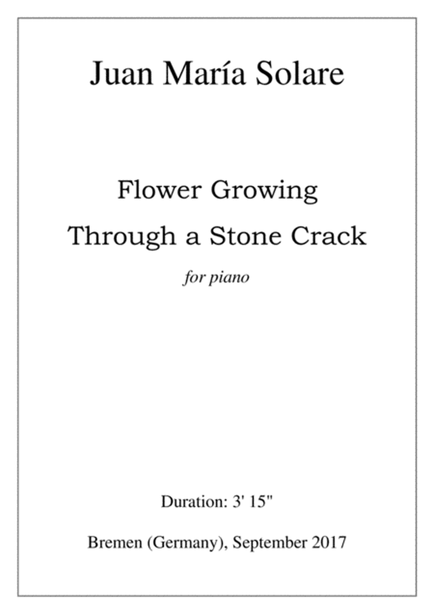 Flower Growing Through a Stone Crack [piano solo] image number null