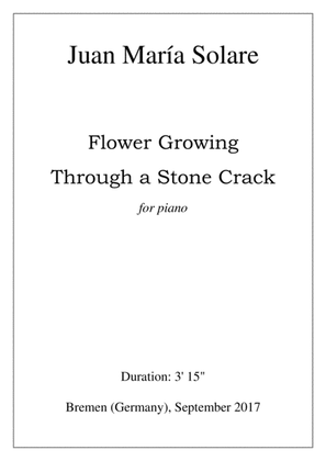 Book cover for Flower Growing Through a Stone Crack [piano solo]