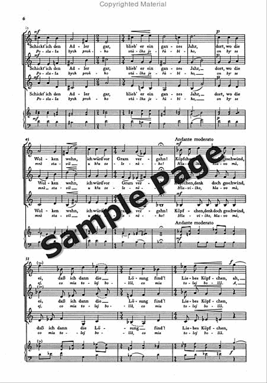 Sag mir Gott Sag mir Gott SSA scores gallery preview page 7
