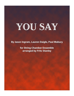 Book cover for You Say