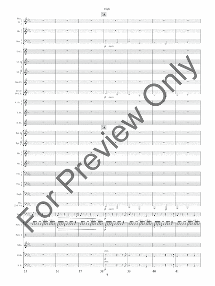 Flight (Score) Concert Band scores gallery preview page 10