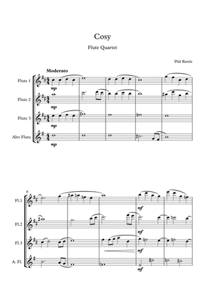 Book cover for Cosy - Flute Quartet