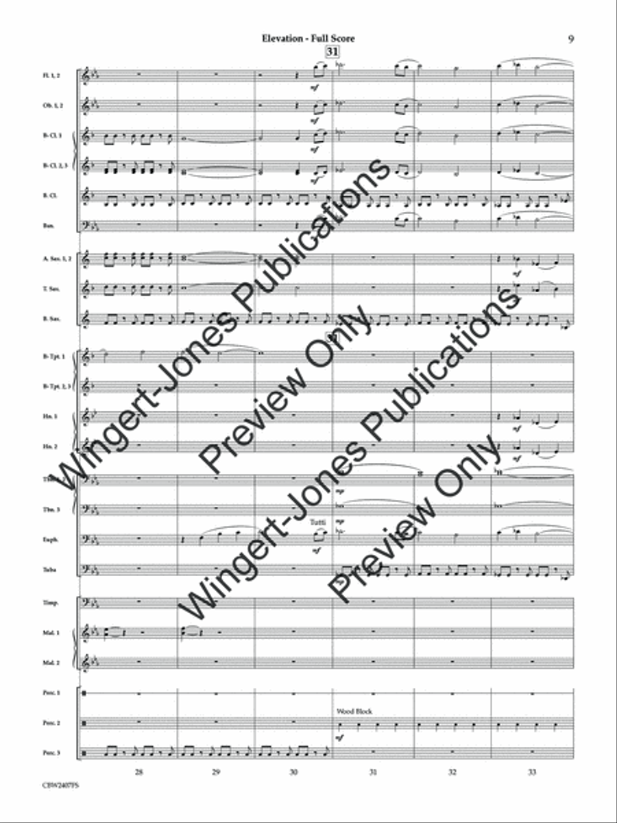 Elevation (Score) Concert Band scores gallery preview page 10