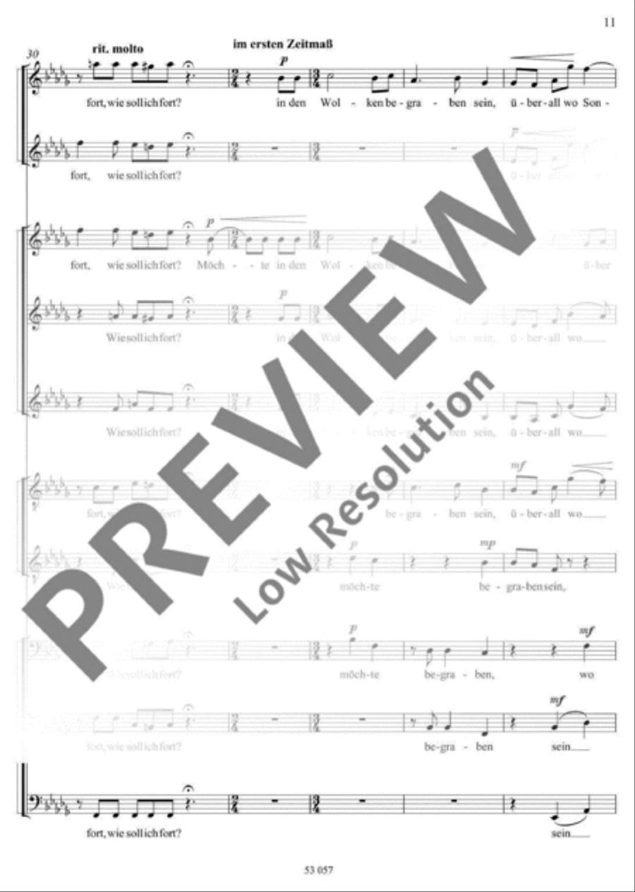 Ich bin so allein A Cappella scores gallery preview page 12