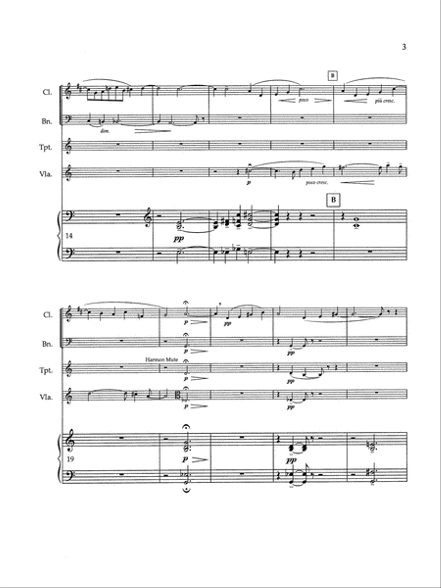 Chamber Symphony Bassoon scores gallery preview page 5