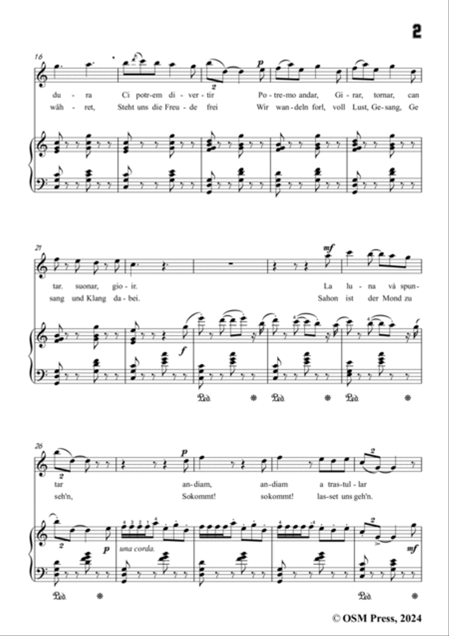 Paladilhe-Mandolinata( Souvenir de Rome),in C Major Voice scores gallery preview page 3