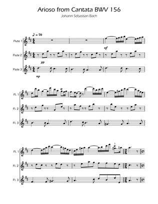 Arioso BWV 156 - Flute Trio
