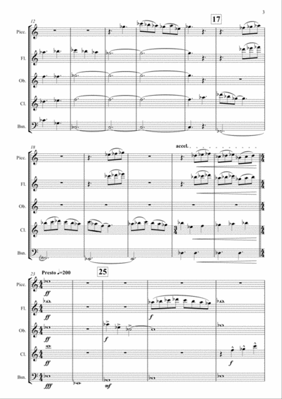 Dreaming of Space (Score and Parts) Woodwind Quintet scores gallery preview page 5