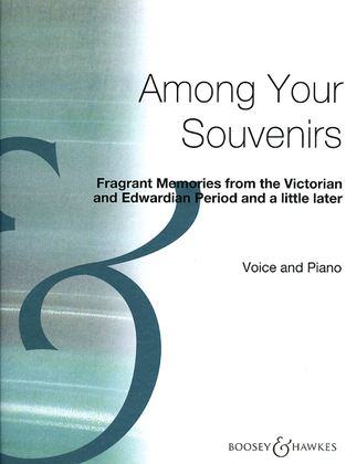 Book cover for Among Your Souvenirs