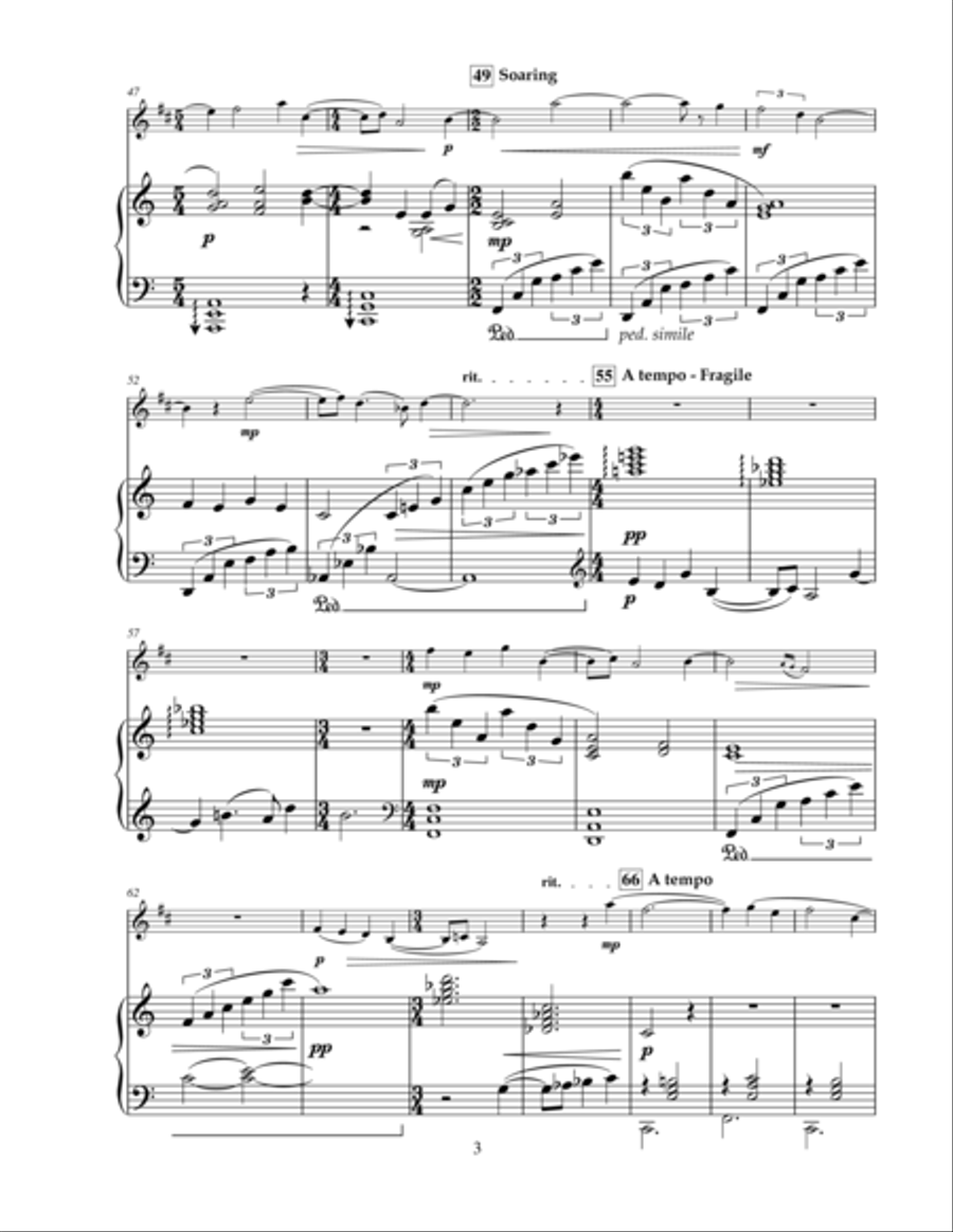 Claramericana - An American Rhapsody for Clarinet Clarinet Solo scores gallery preview page 3
