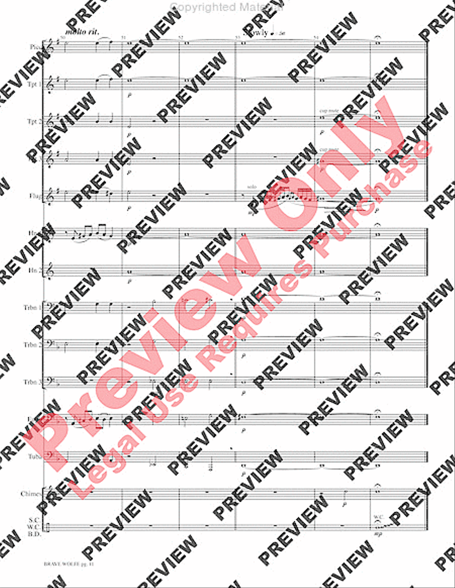Brave Wolfe Brave Wolfe Small Ensemble scores gallery preview page 13