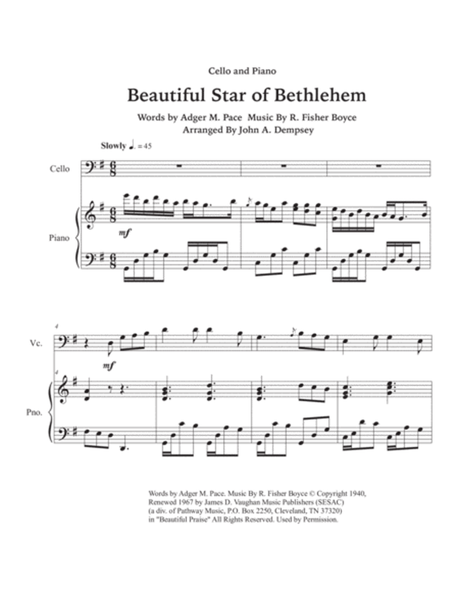 Beautiful Star Of Bethlehem image number null