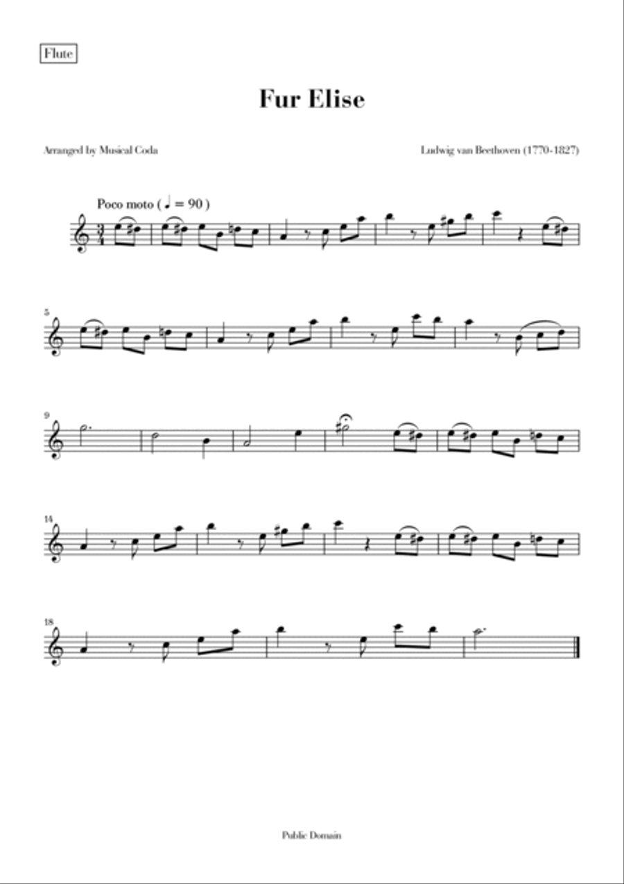 Fur Elise - Flute & Clarinet Woodwind Duet scores gallery preview page 2