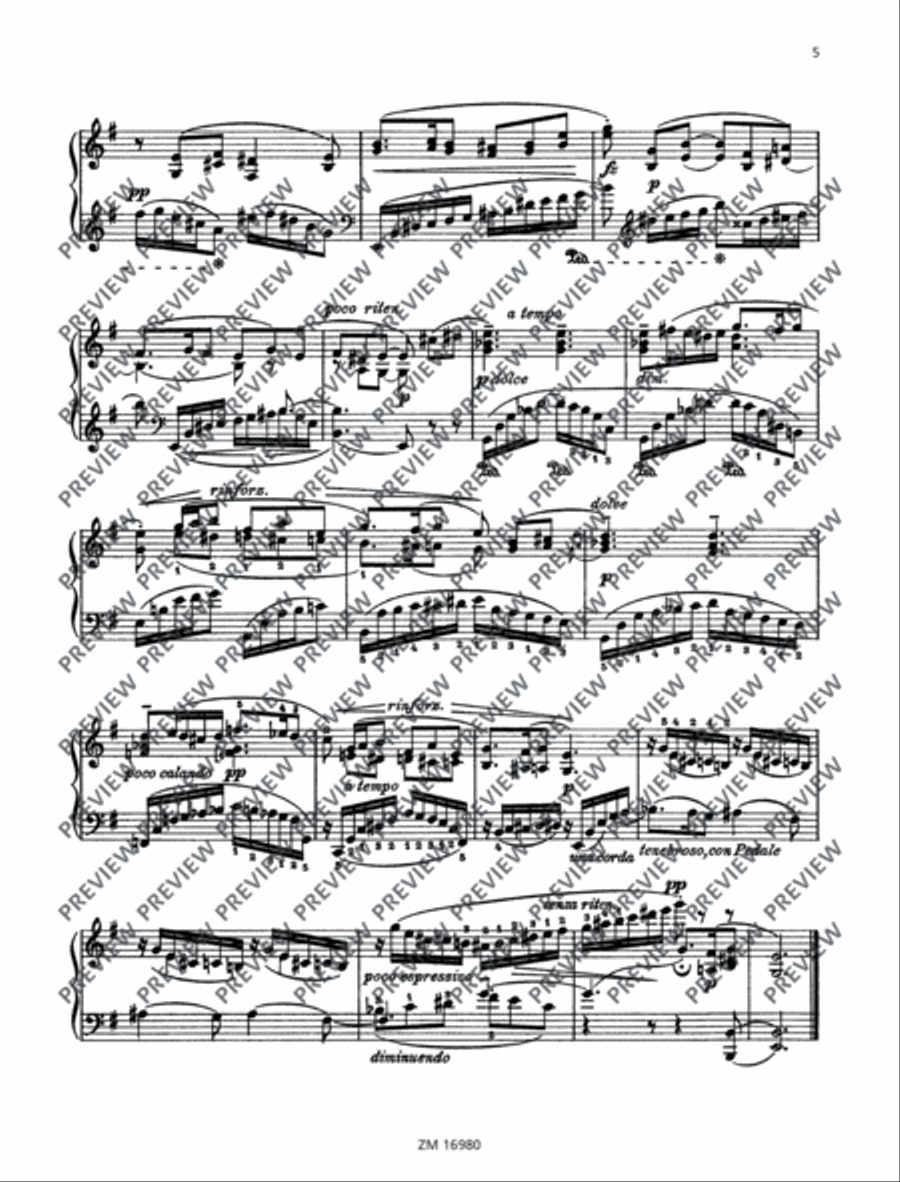 Vergessene Weisen (Forgotten Melodies) Piano Solo scores gallery preview page 6