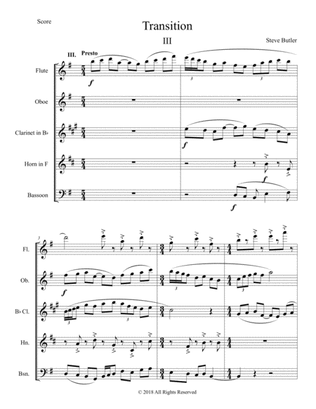 Transition III: Part III of a 3 movement Woodwind Quintet