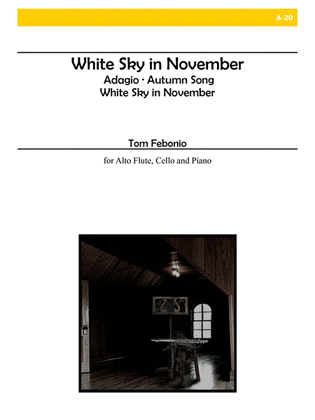 Book cover for White Sky In November for Alto Flute, Cello and Piano