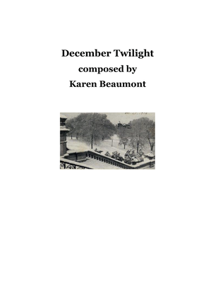 Book cover for December Twilight