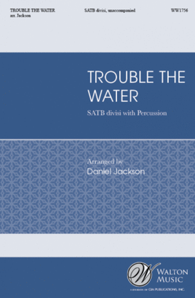 Book cover for Trouble the Water