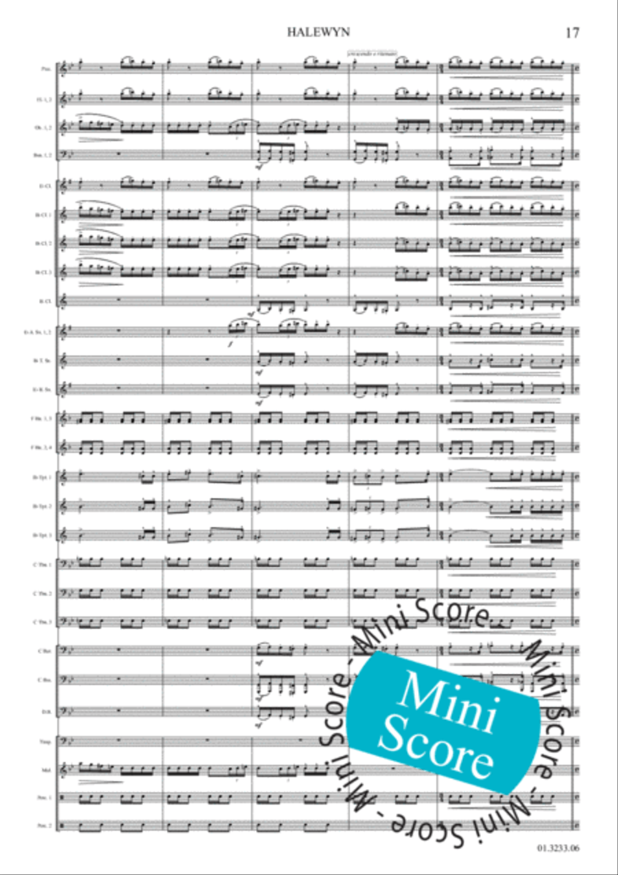 Halewijn Concert Band scores gallery preview page 23