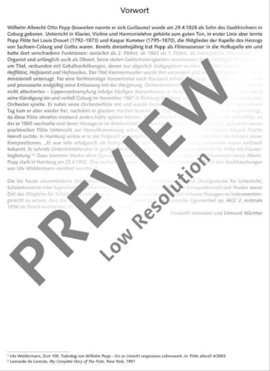 Russian Gypsy Song Russian Gypsy Song Flute Solo scores gallery preview page 3