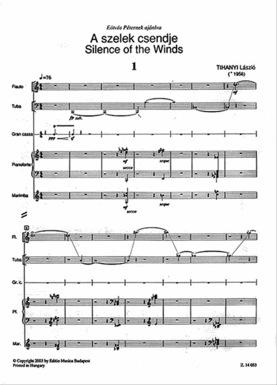 Silence of the Winds Chamber Orchestra scores gallery preview page 2