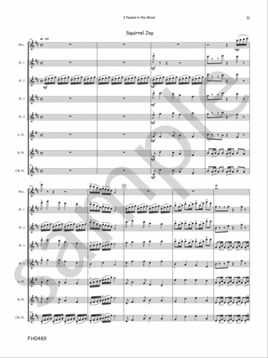 I Paused In The Wood I Paused In The Wood Flute Quartet scores gallery preview page 9